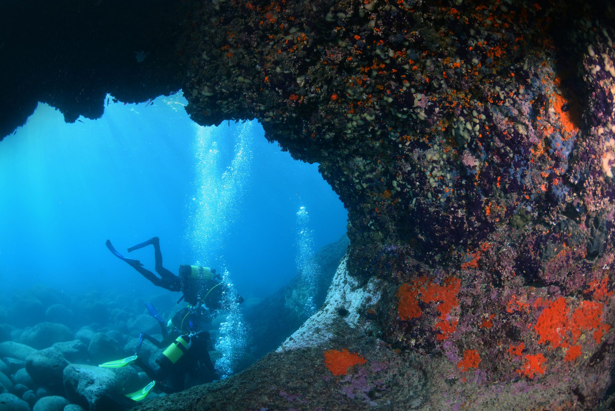 Dive site photo