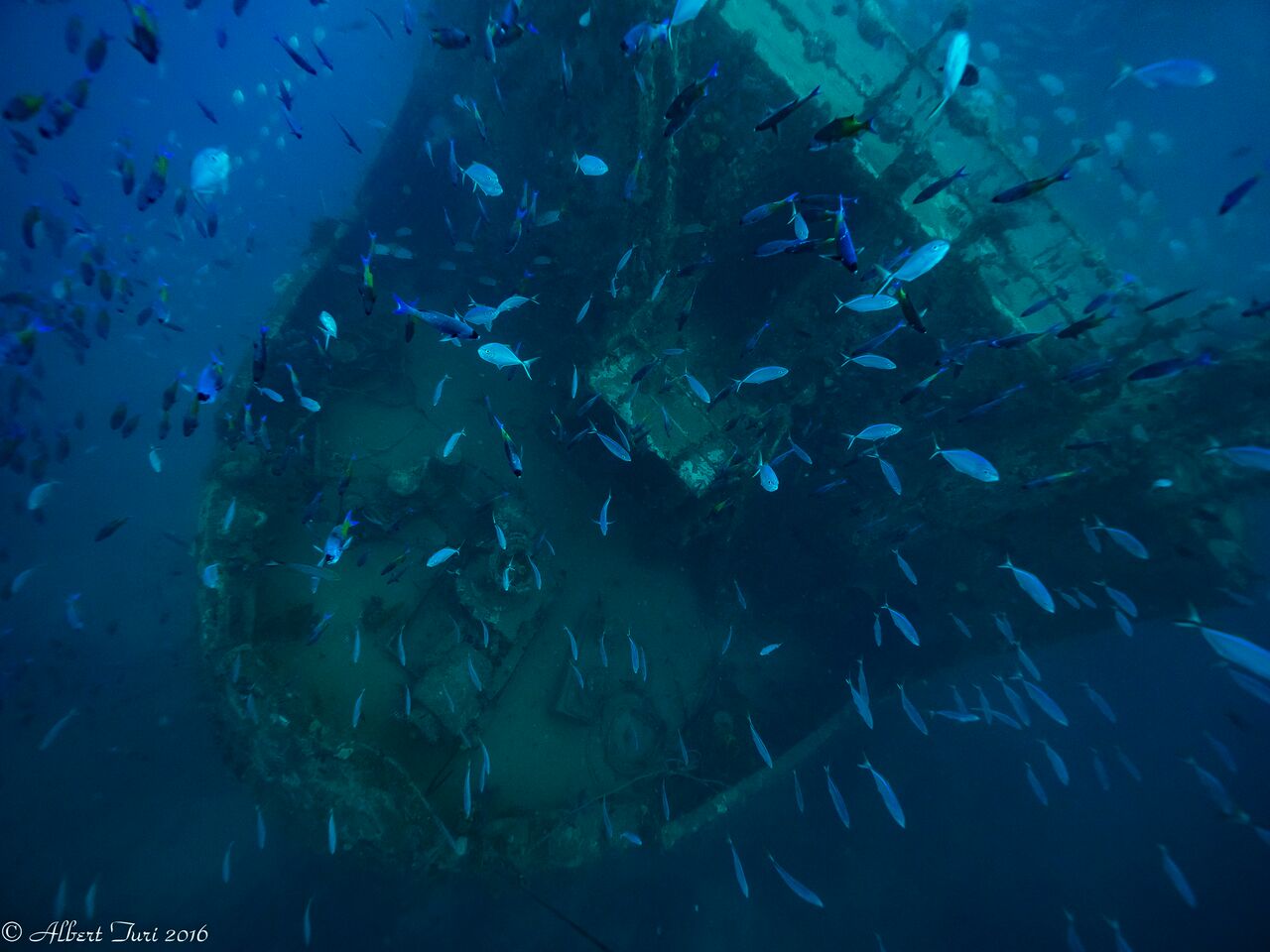 Dive site photo