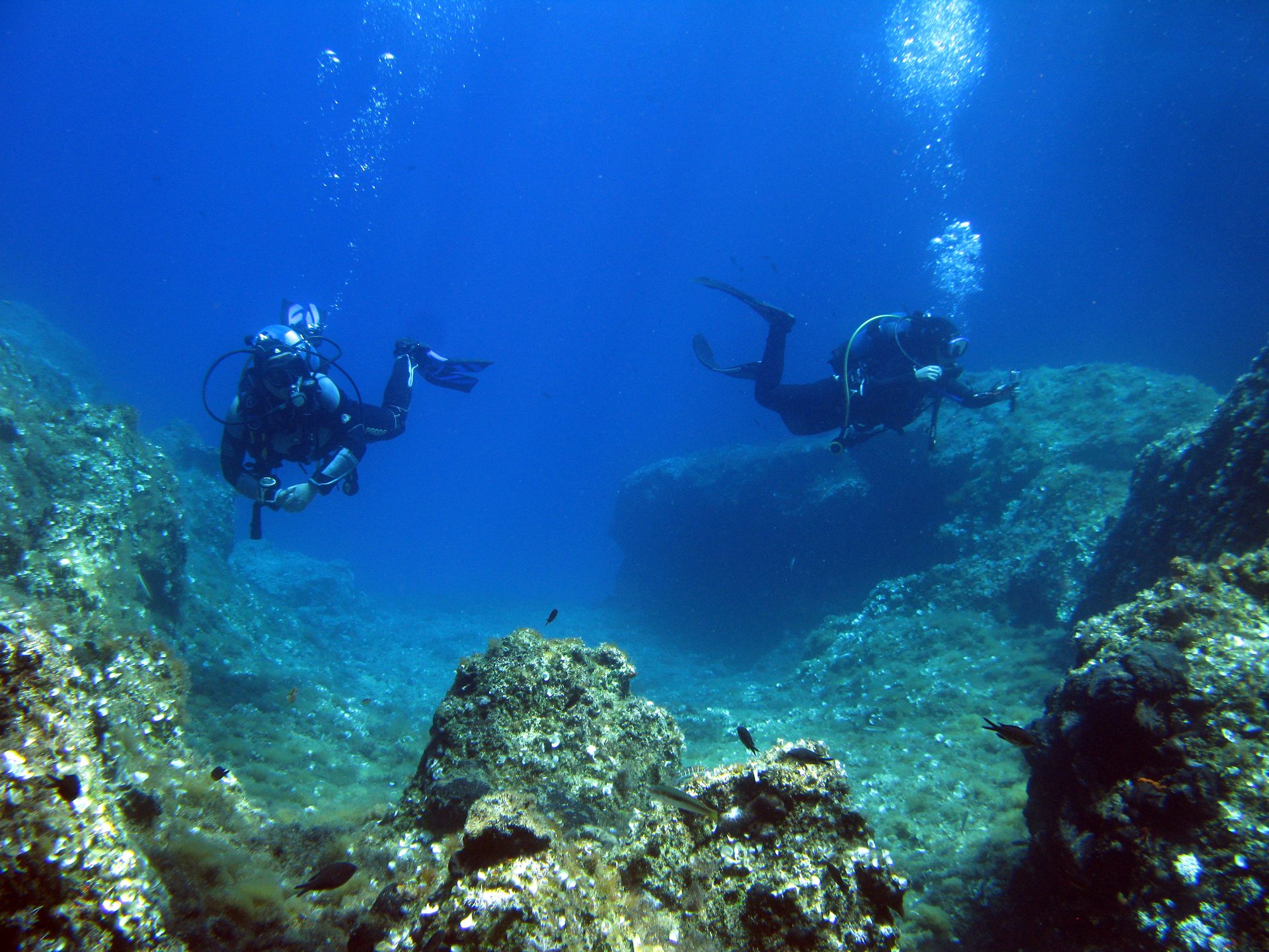 Dive site photo