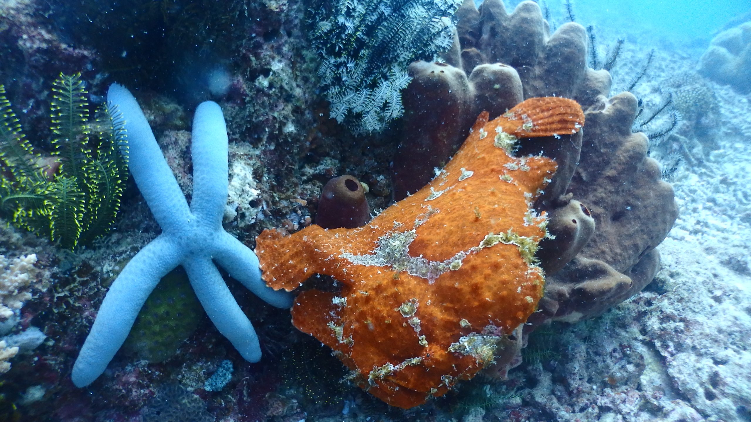 Dive site photo