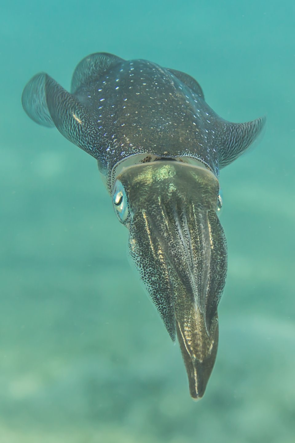 Dive site photo