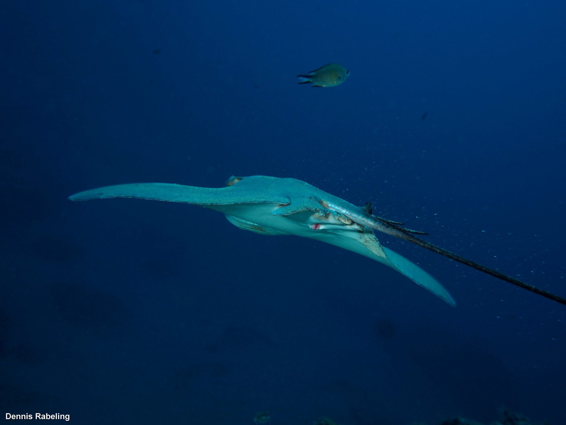 Dive site photo