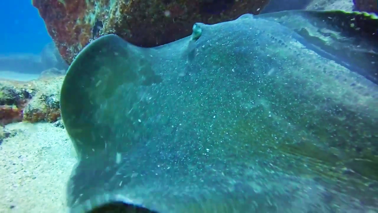 Dive site photo
