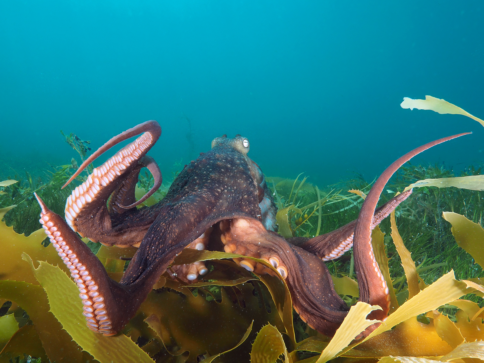 Dive site photo