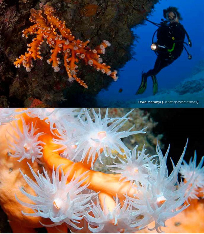 Dive site photo