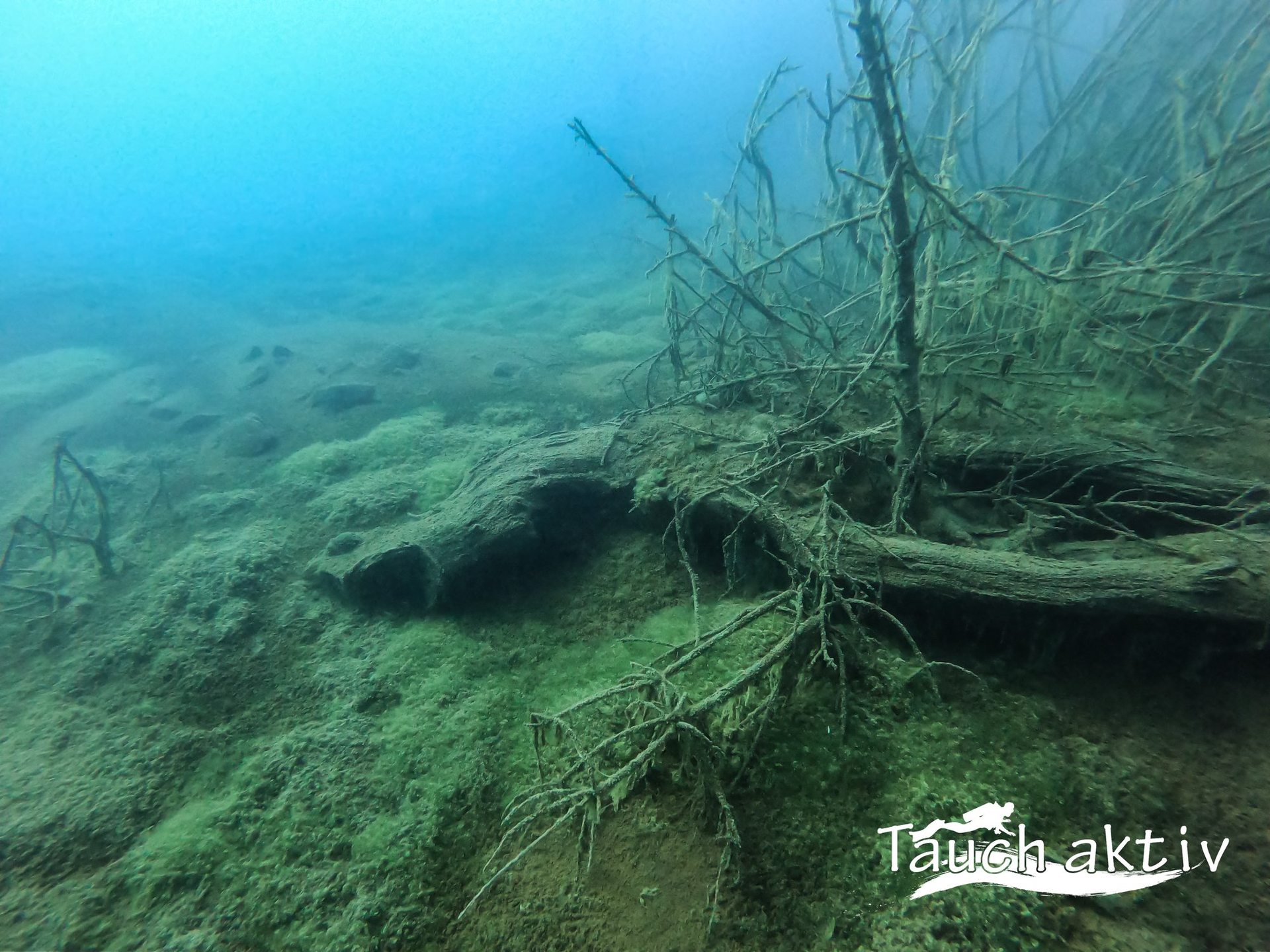 Dive site photo