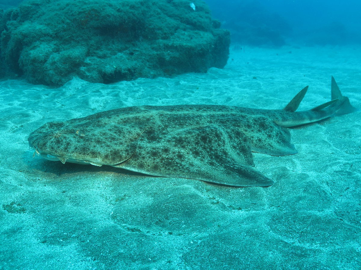 Dive site photo