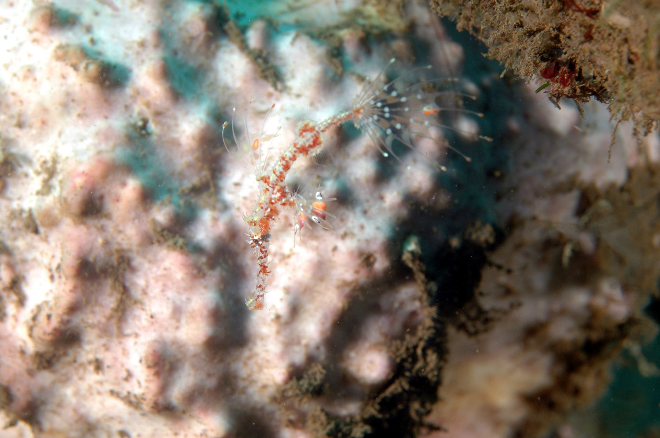 Dive site photo