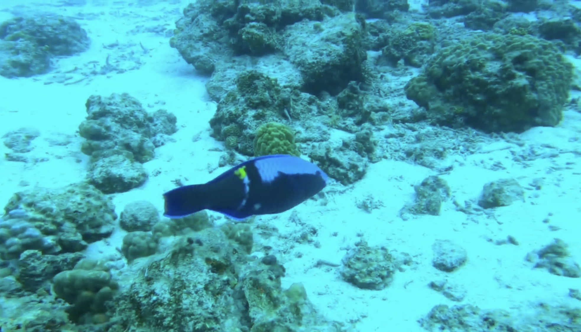 Dive site photo