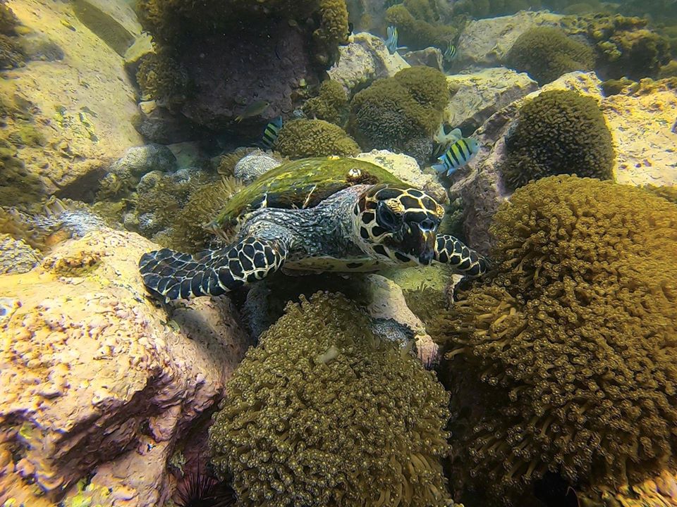 Dive site photo