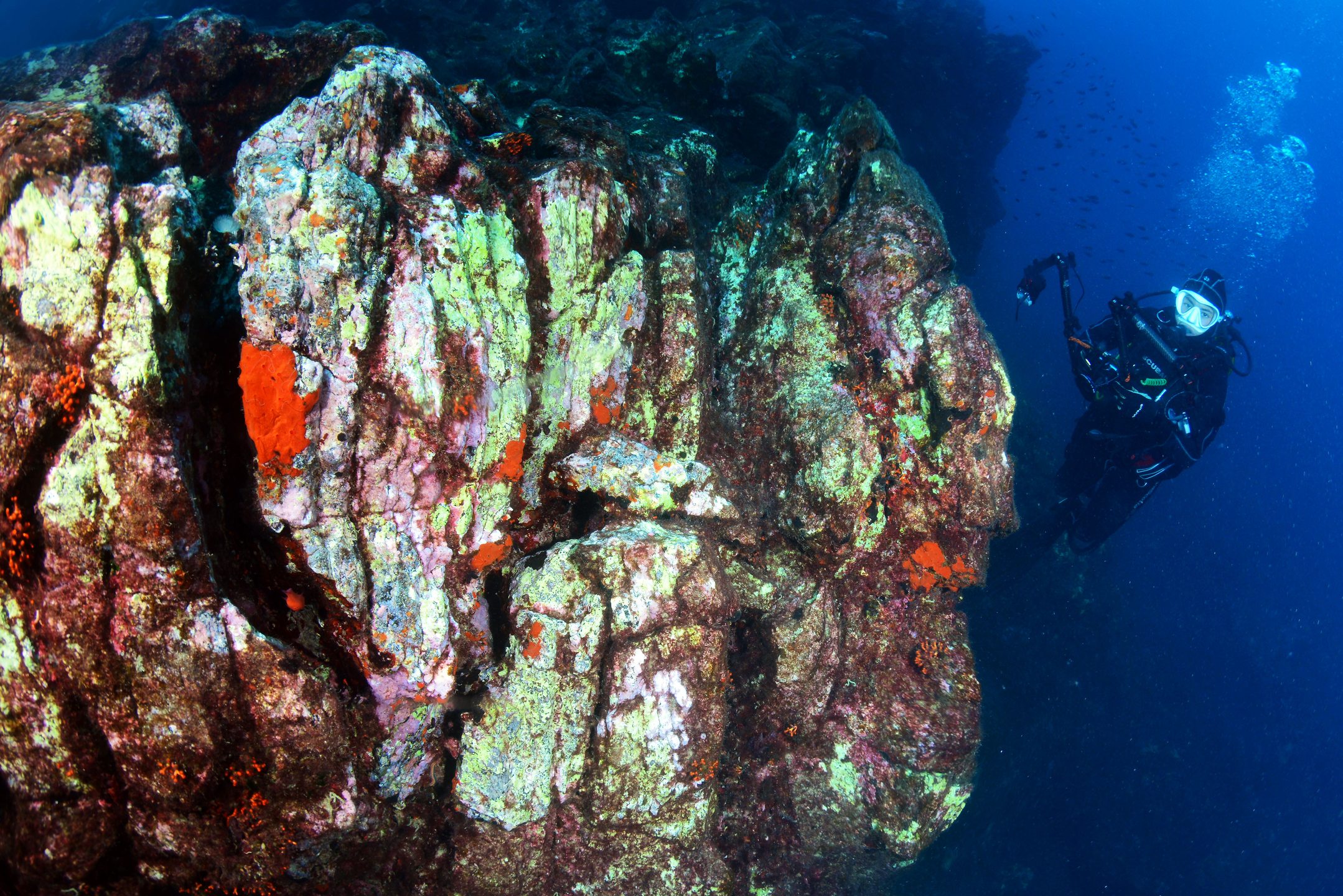 Dive site photo