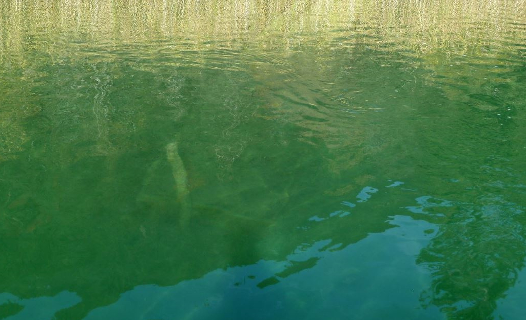 Dive site photo