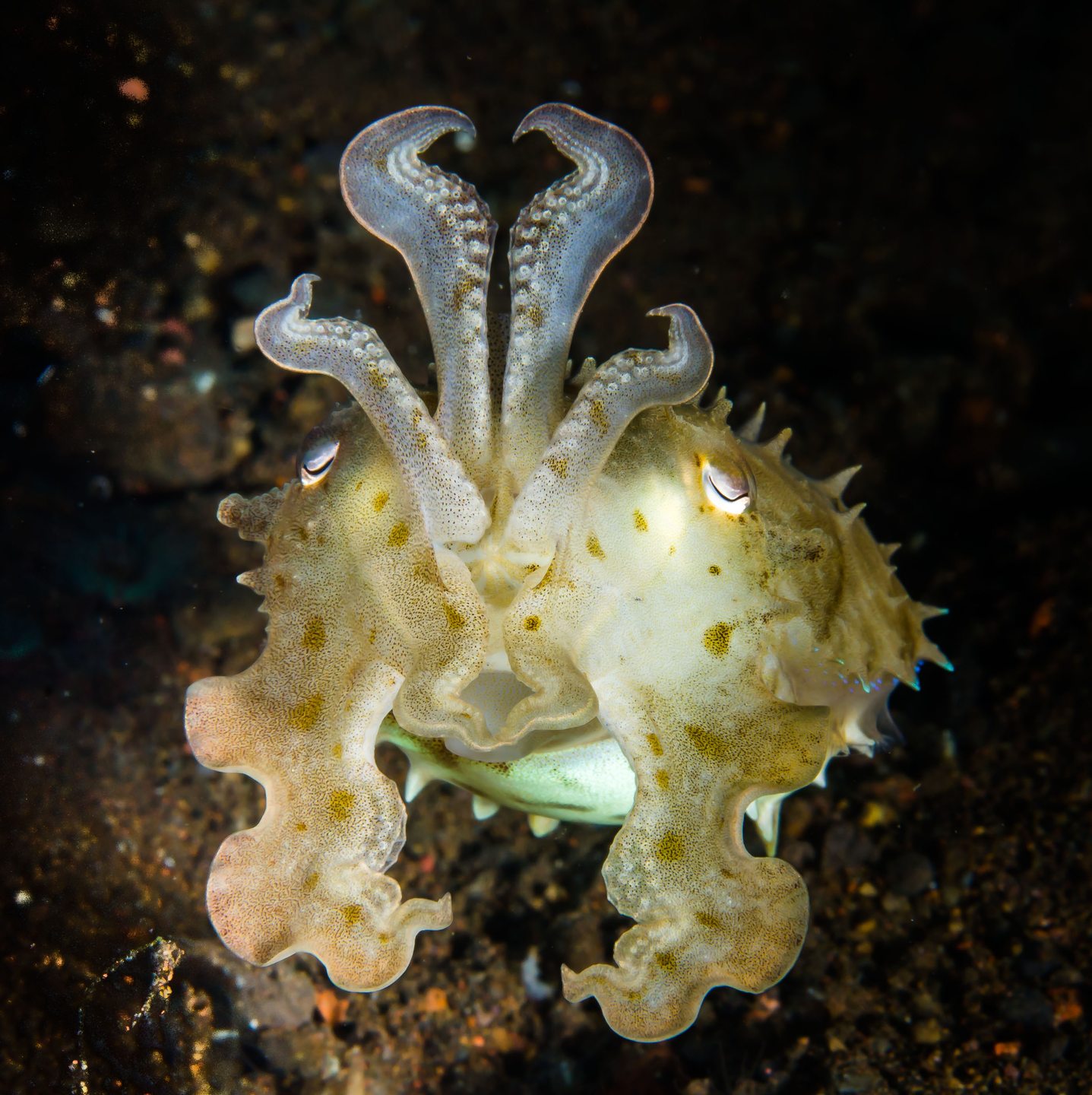 Dive site photo
