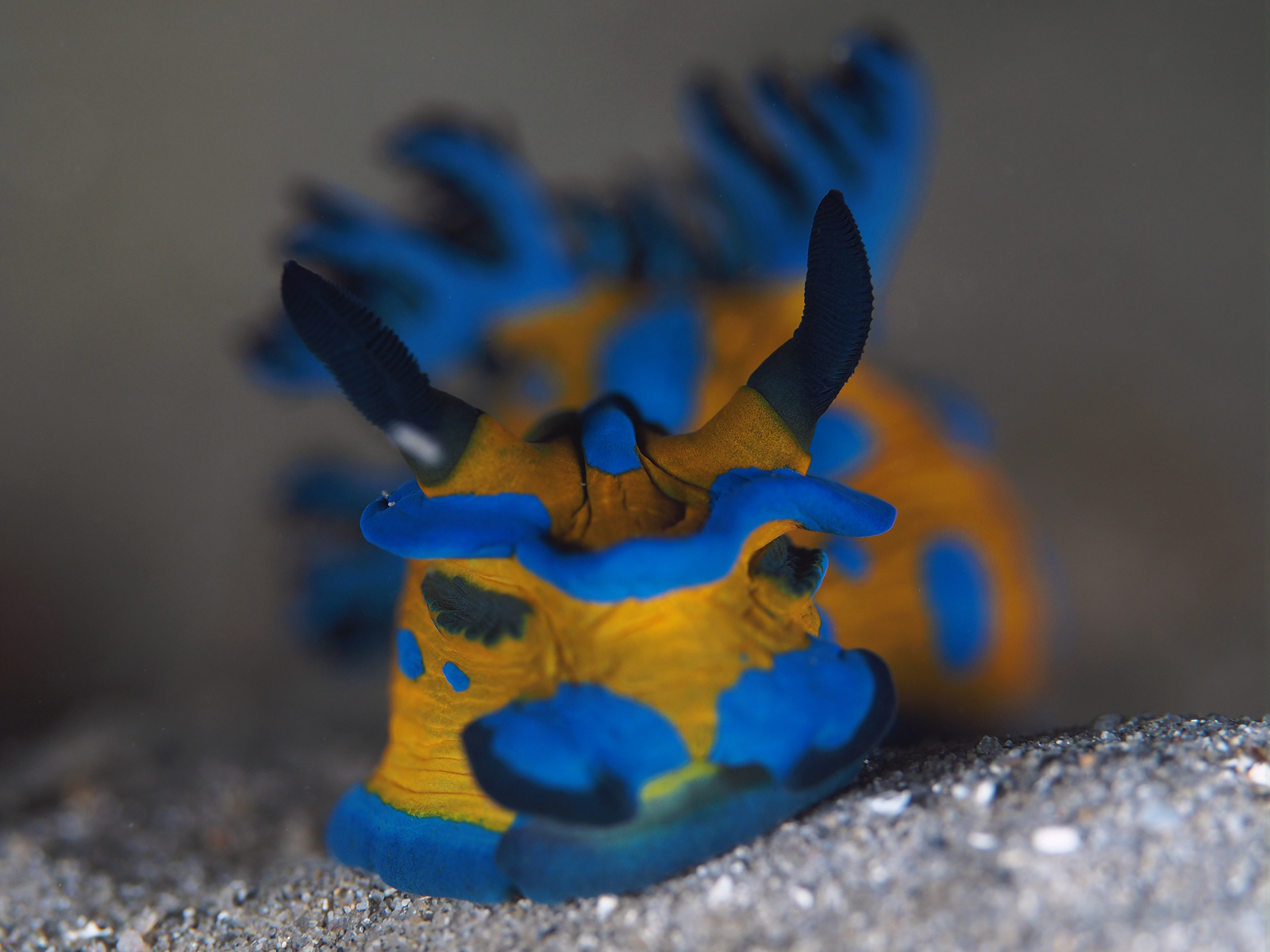 Dive site photo