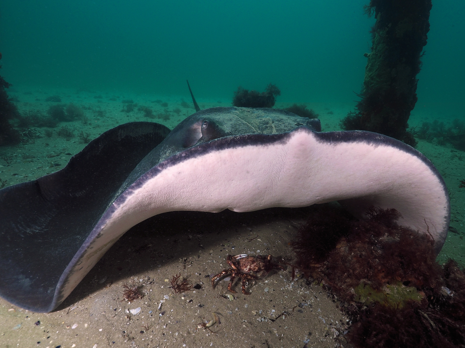 Dive site photo