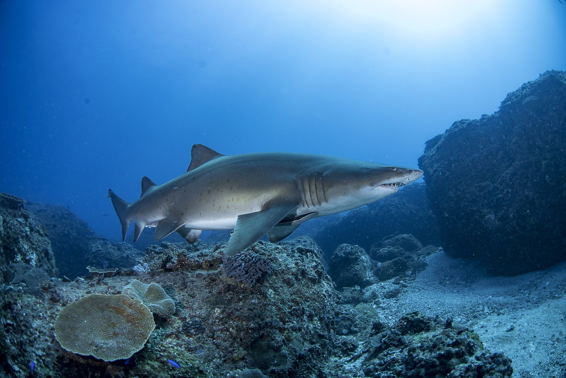Dive site photo