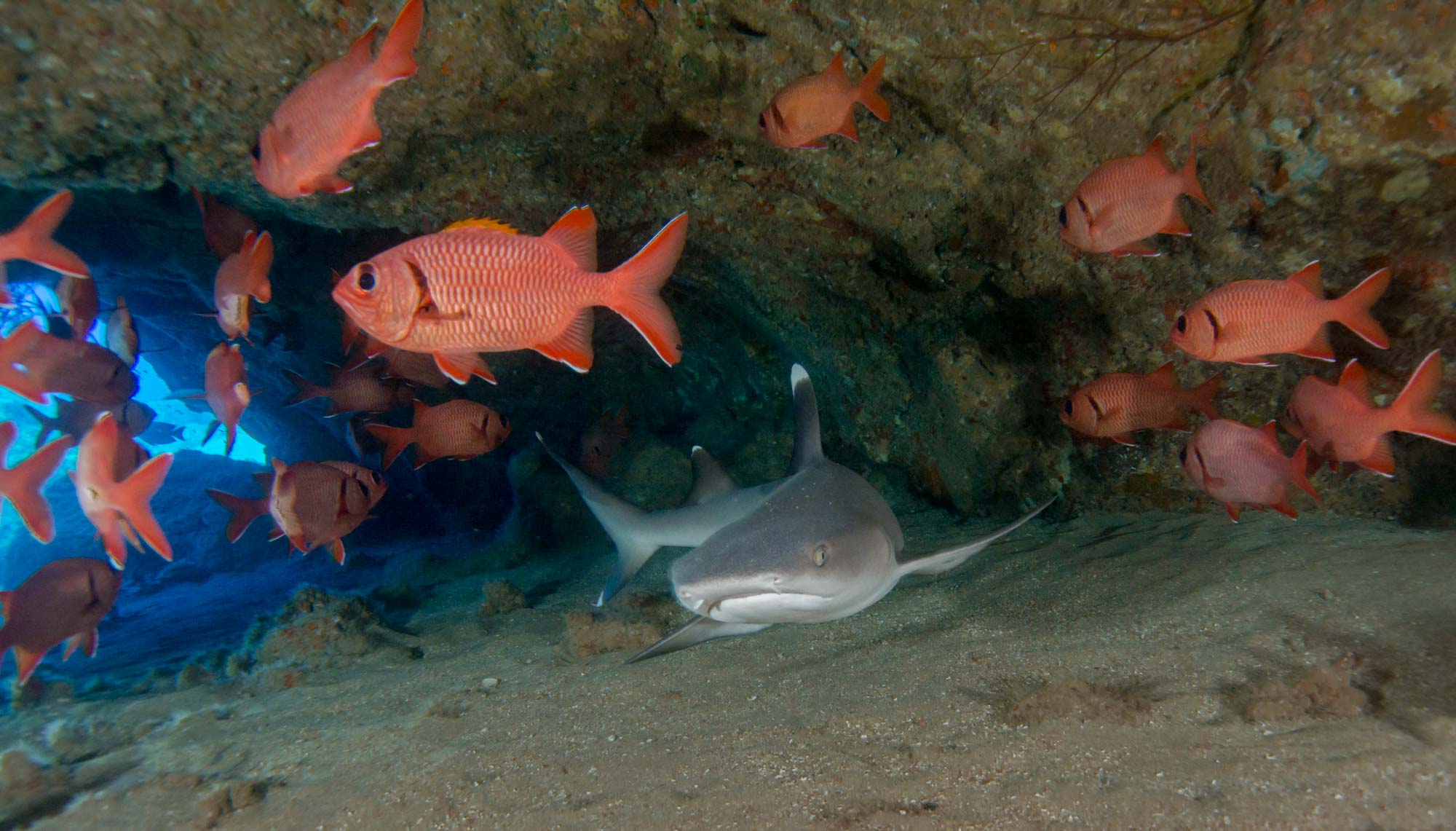 Dive site photo
