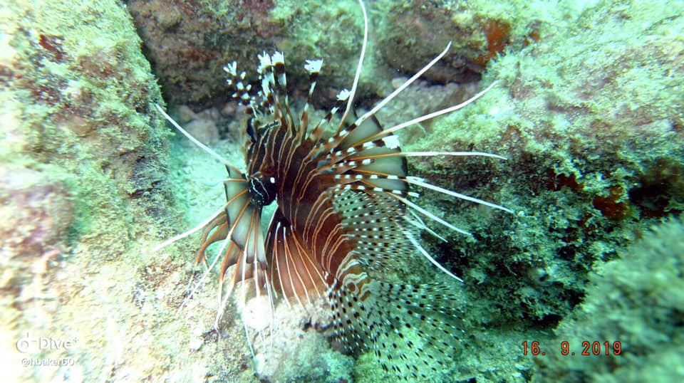 Dive site photo