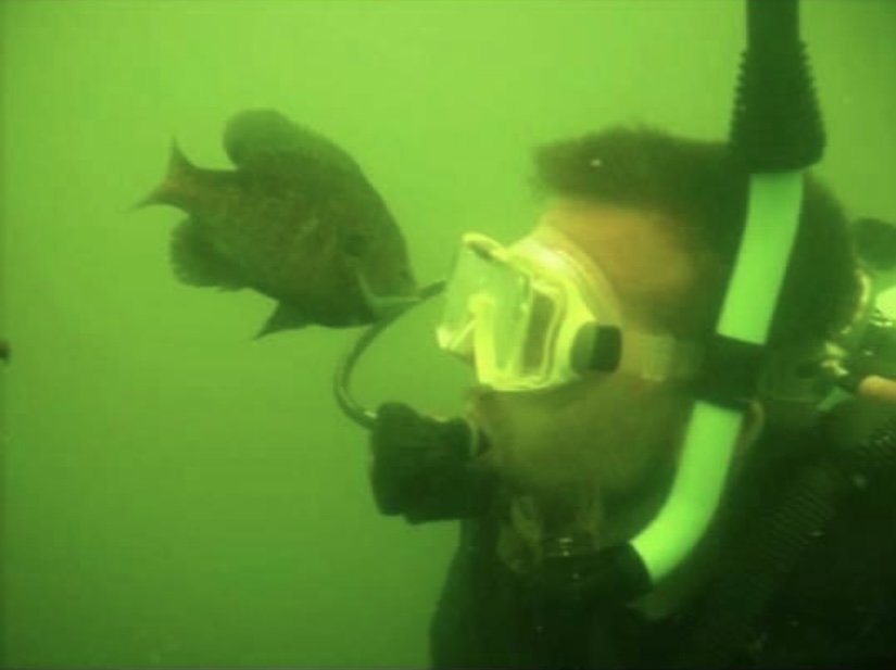 Dive site photo