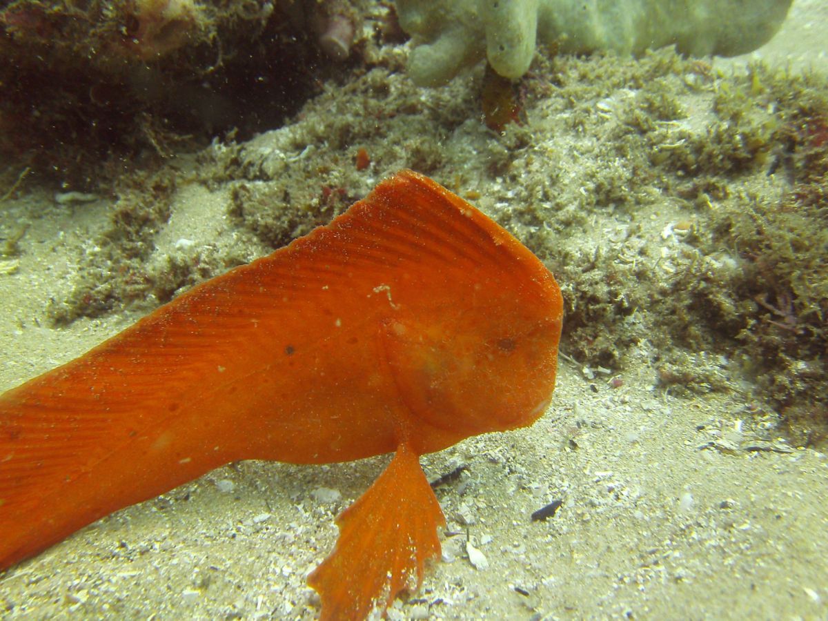 Dive site photo