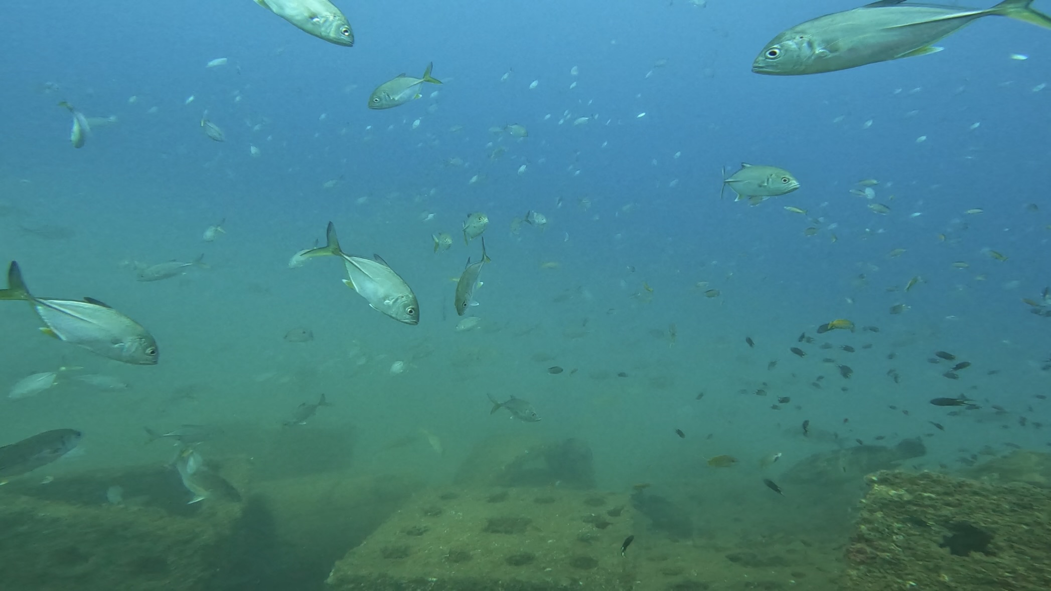 Dive site photo