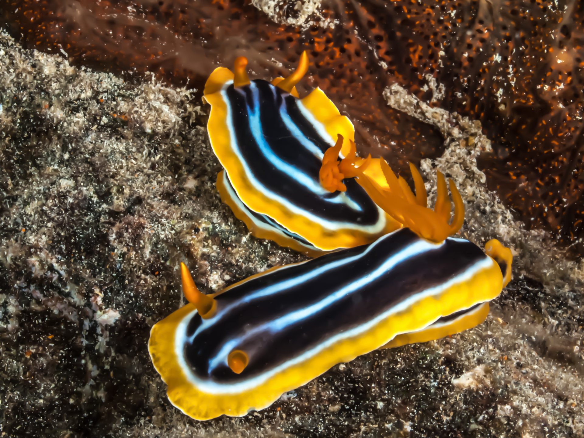 Dive site photo