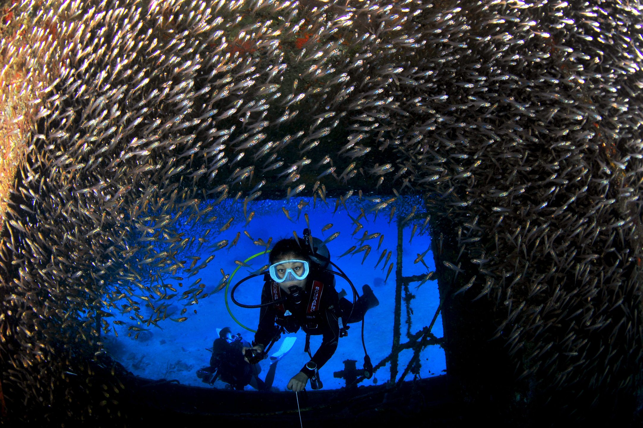 Dive site photo