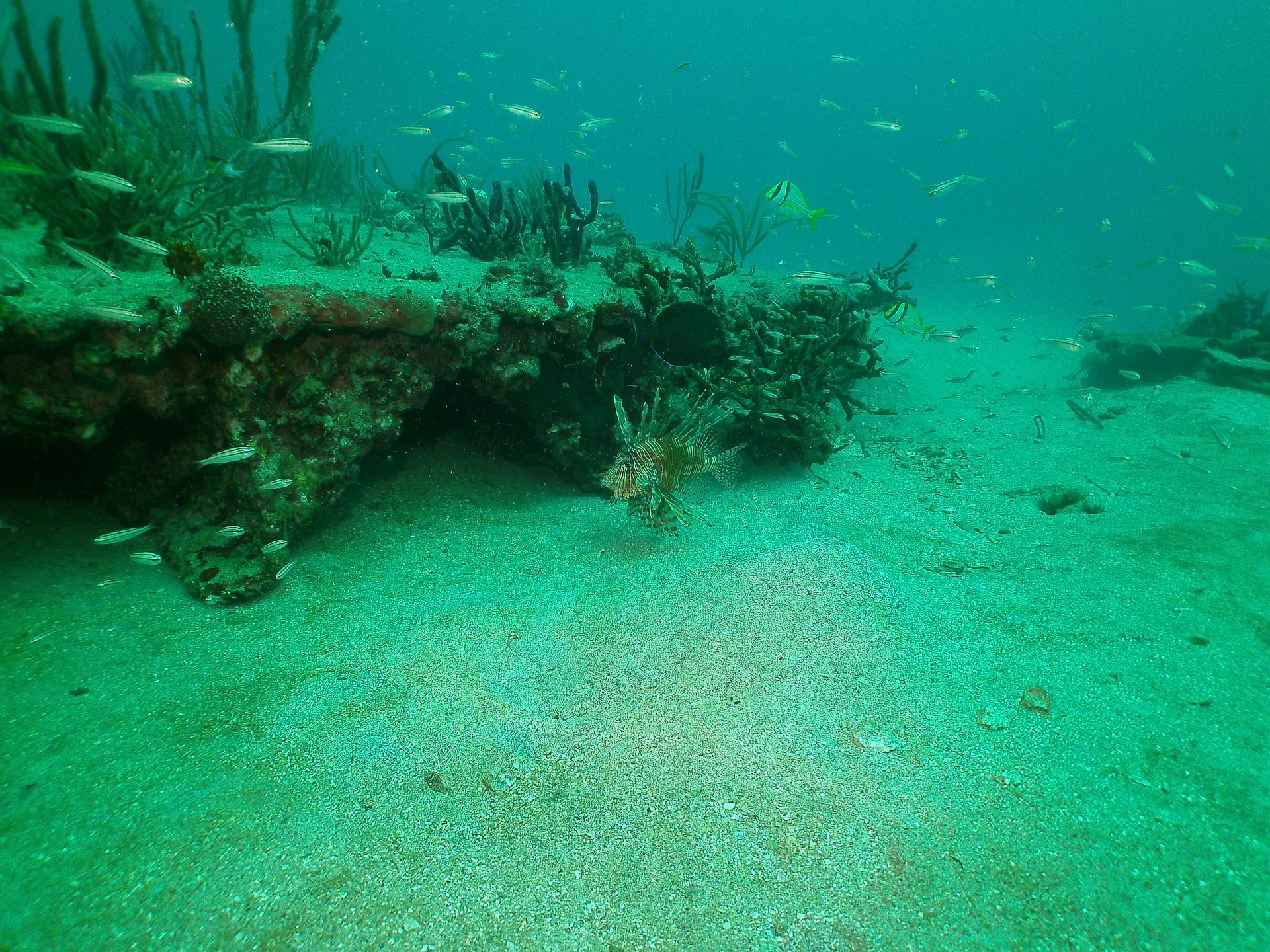 Dive site photo