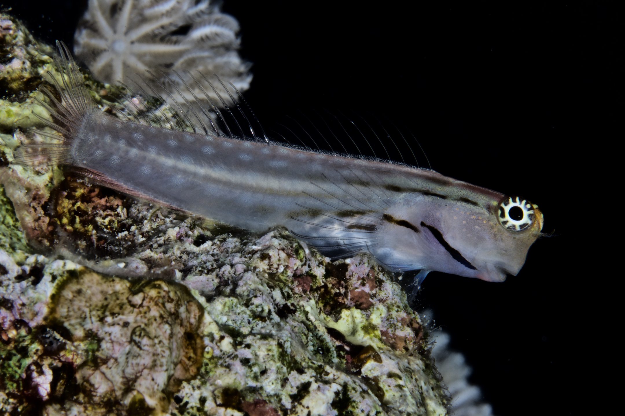 Dive site photo