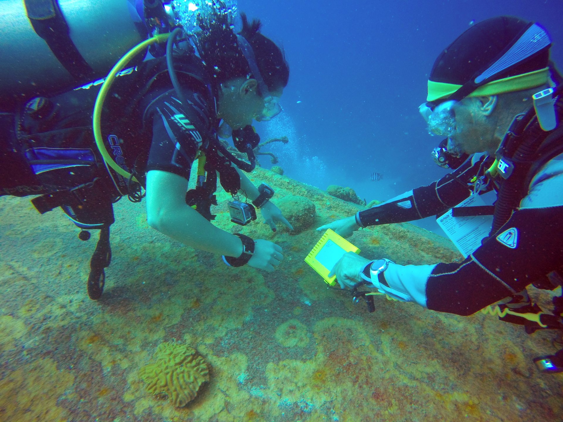 Dive site photo