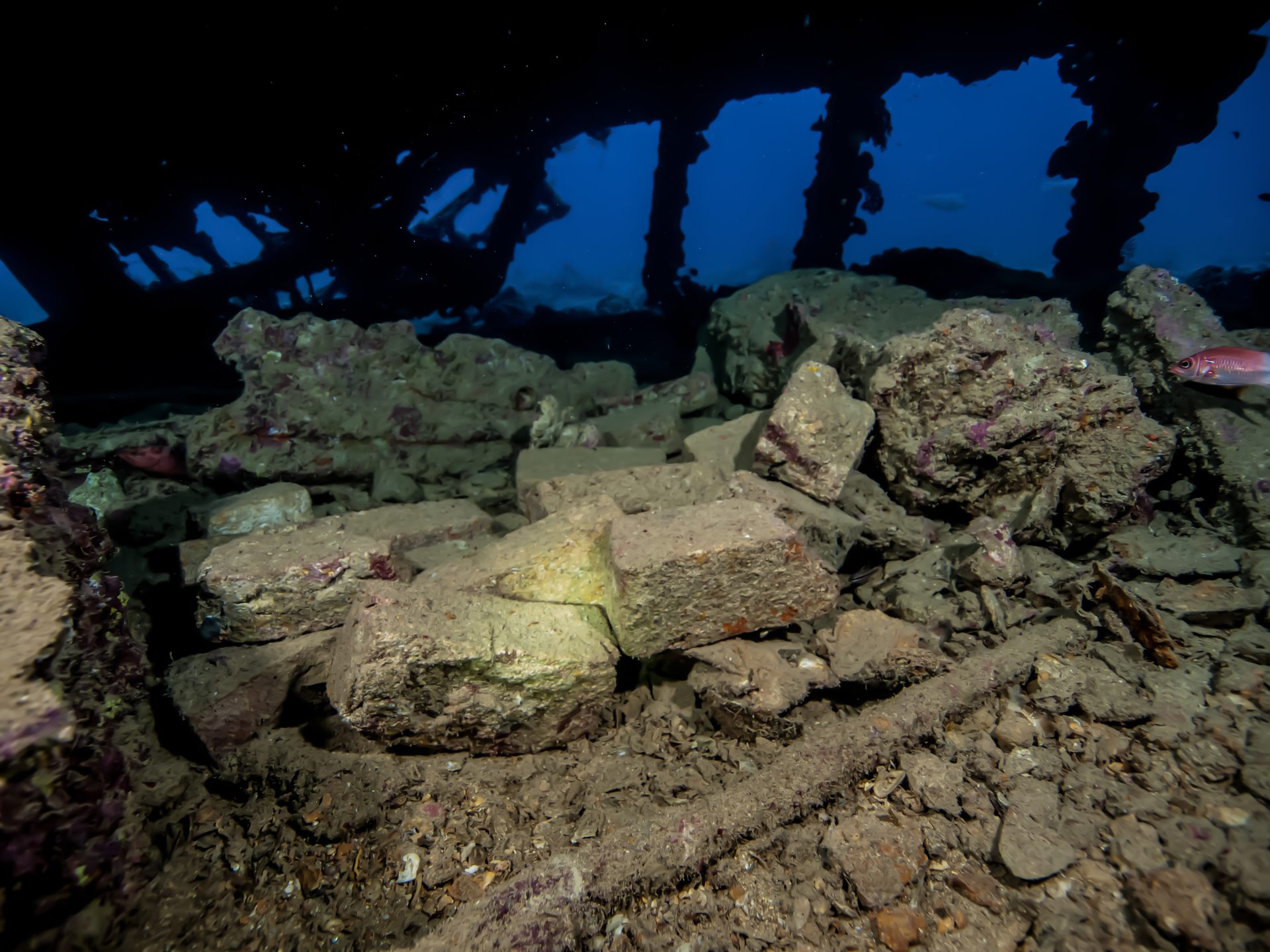 Dive site photo