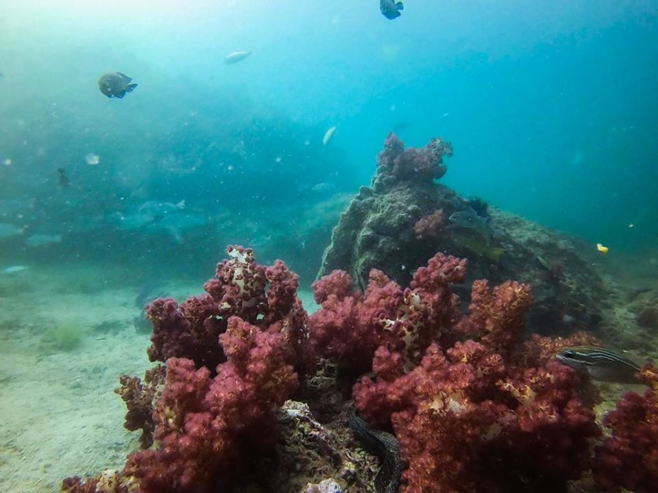Dive site photo