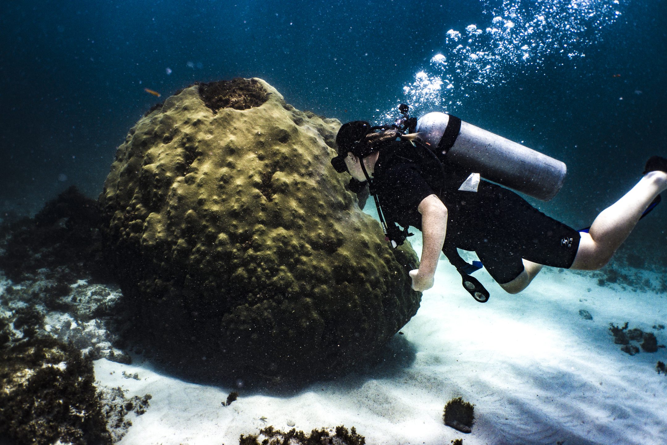 Dive site photo
