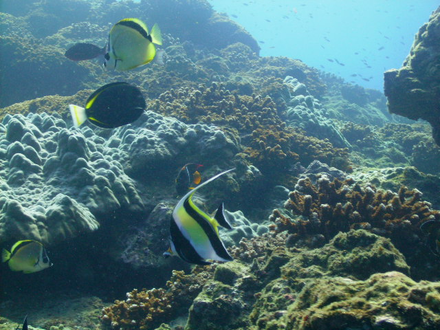 Dive site photo