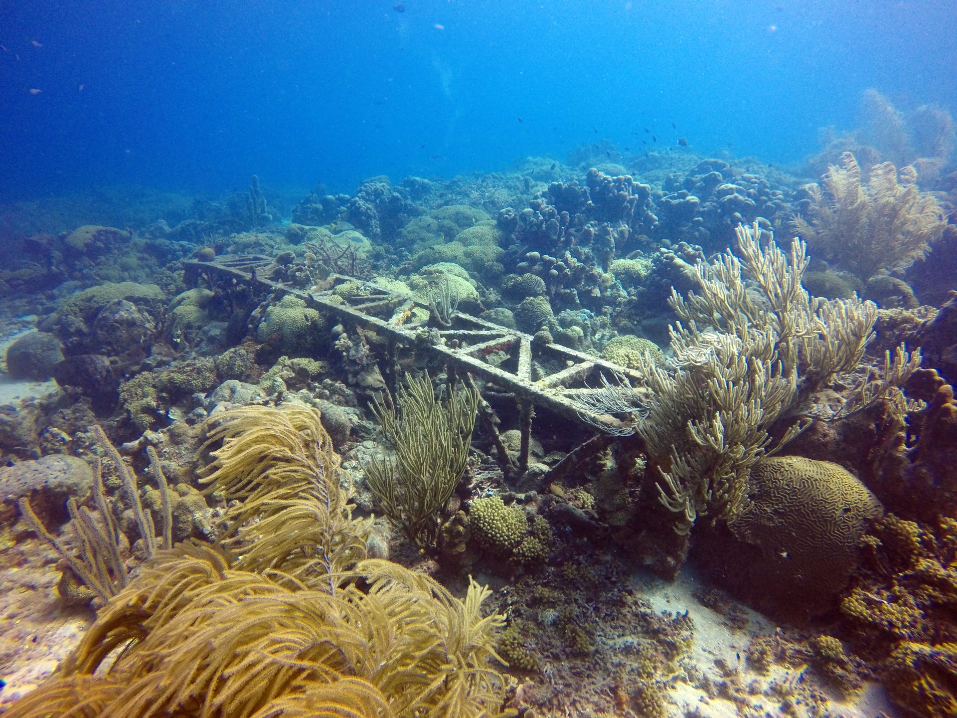 Dive site photo
