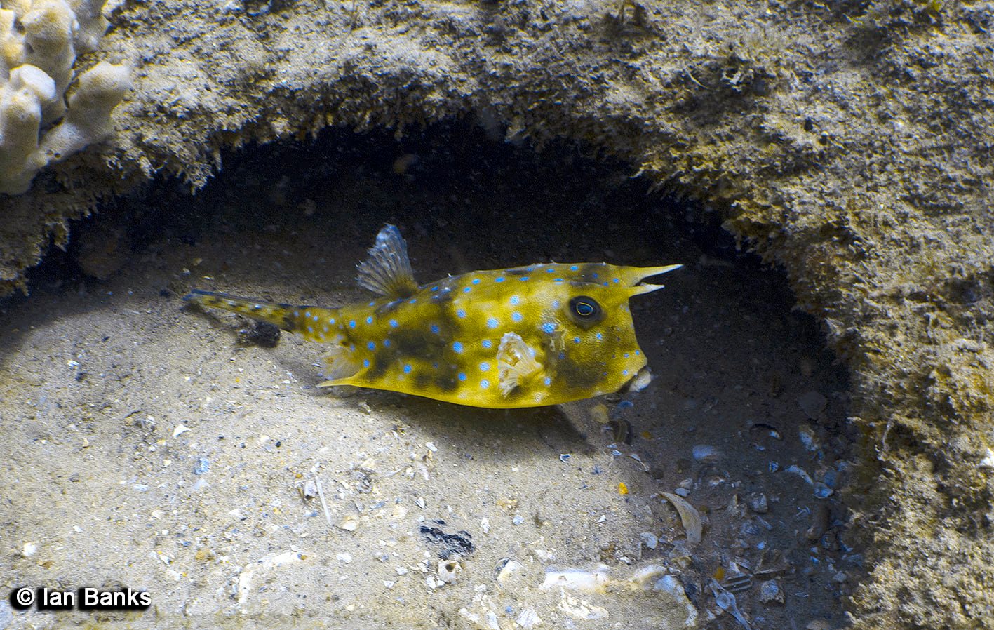 Dive site photo