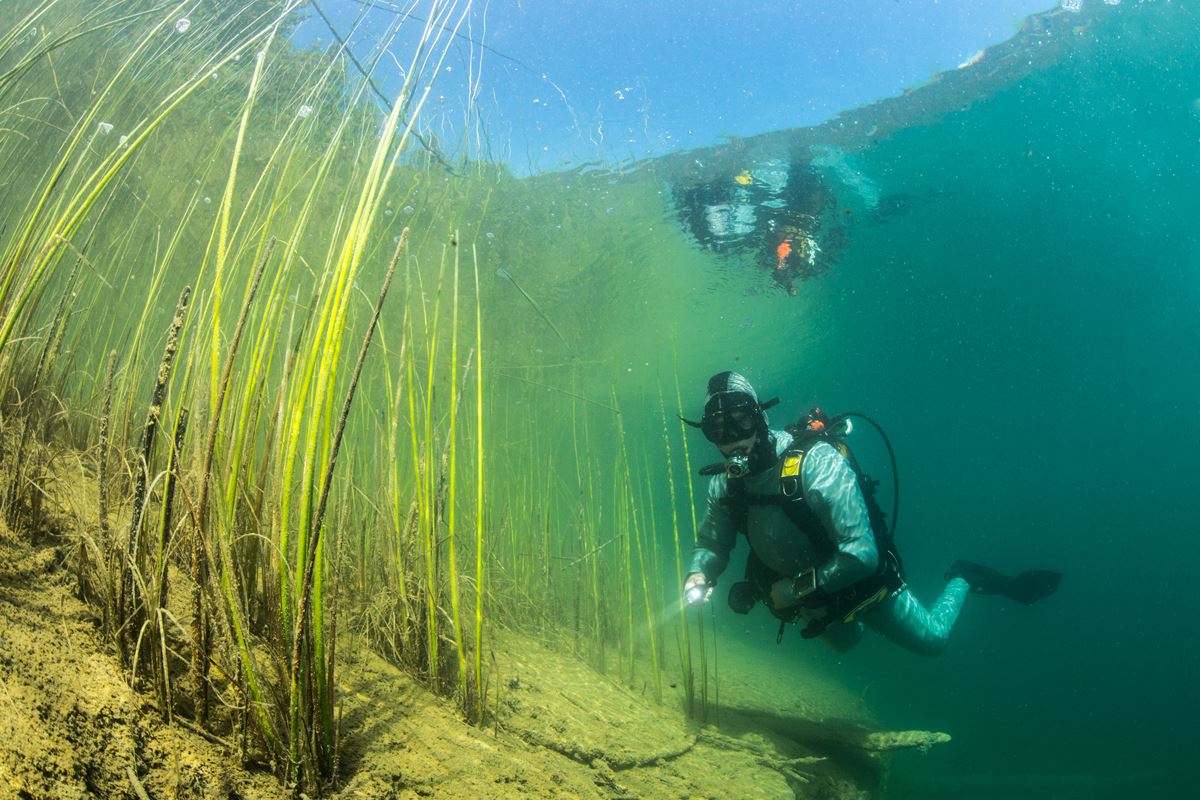 Dive site photo