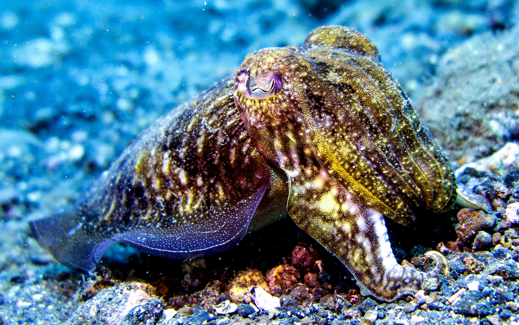 Dive site photo