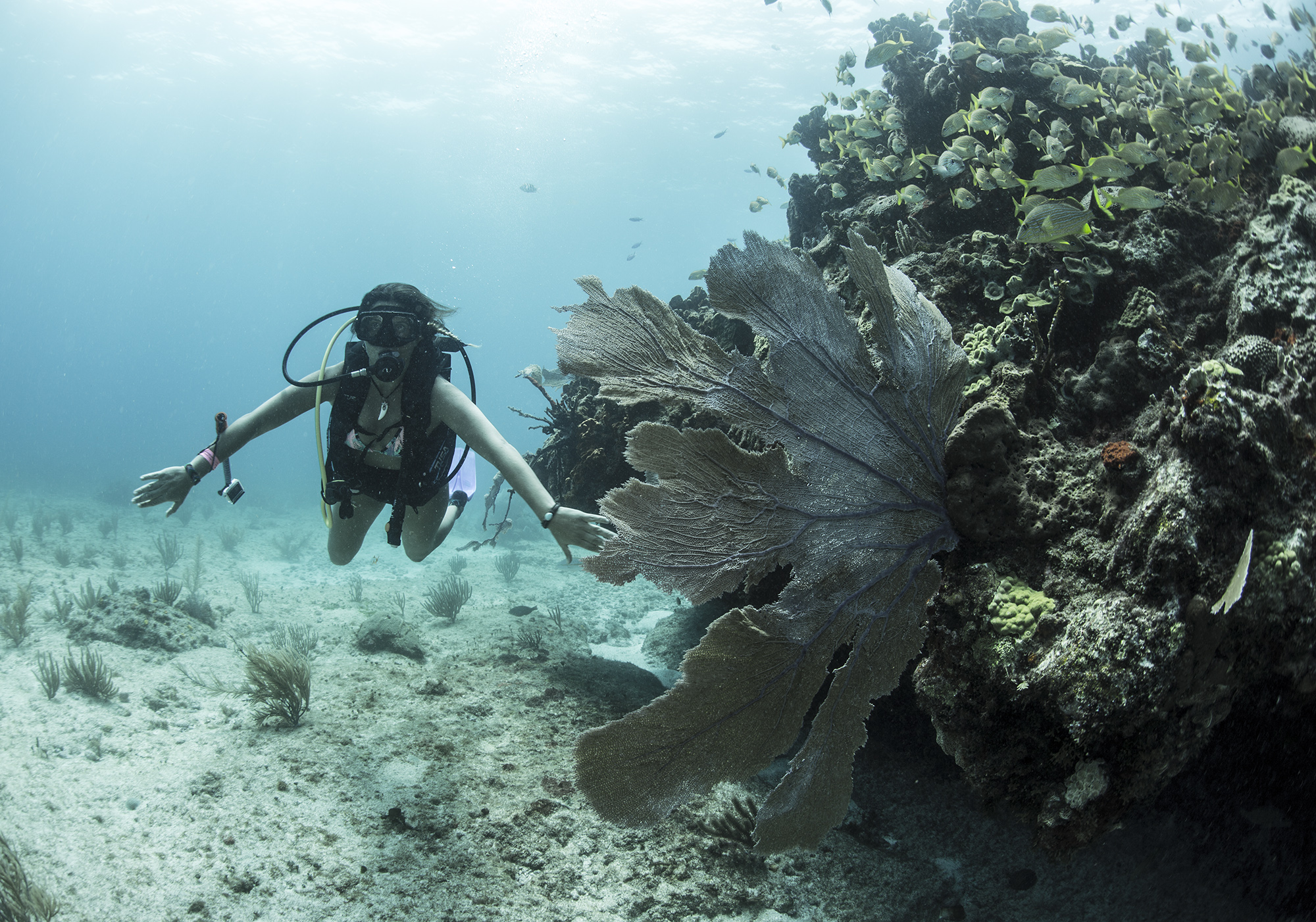 Dive site photo