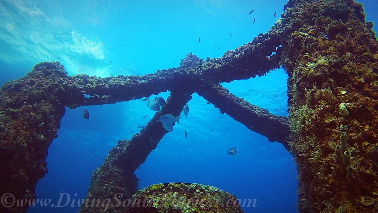 Dive site photo