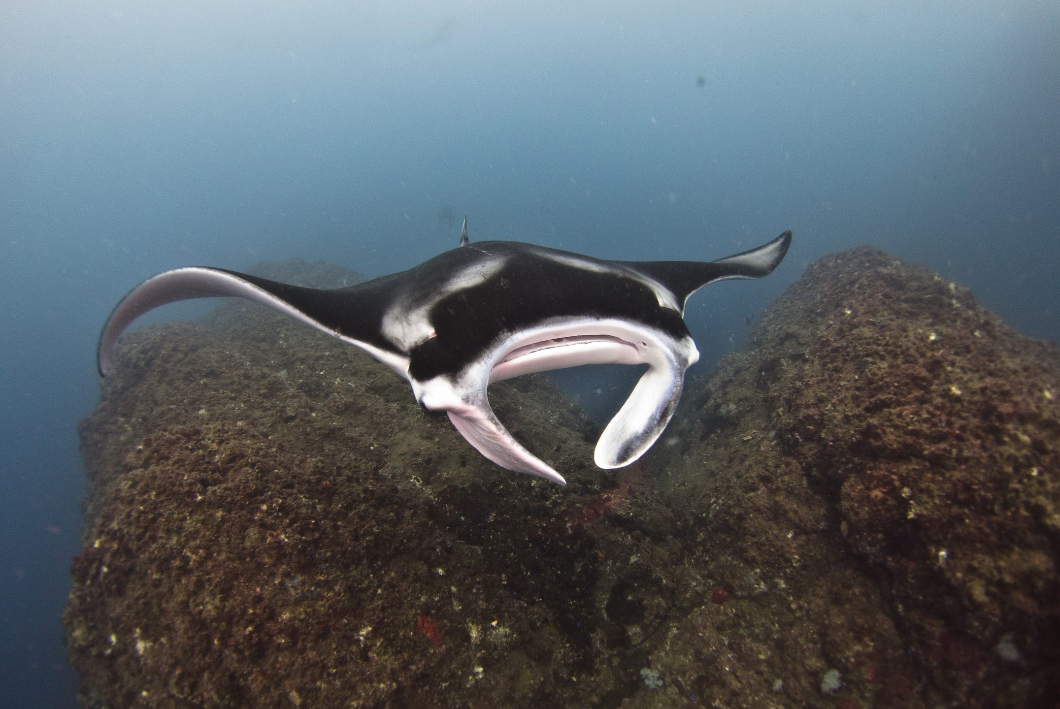Dive site photo