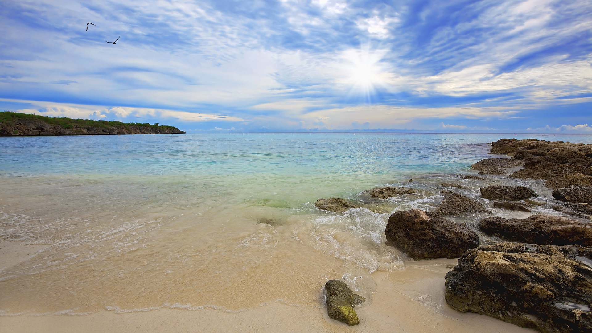 Diving In Curacao Padi Travel