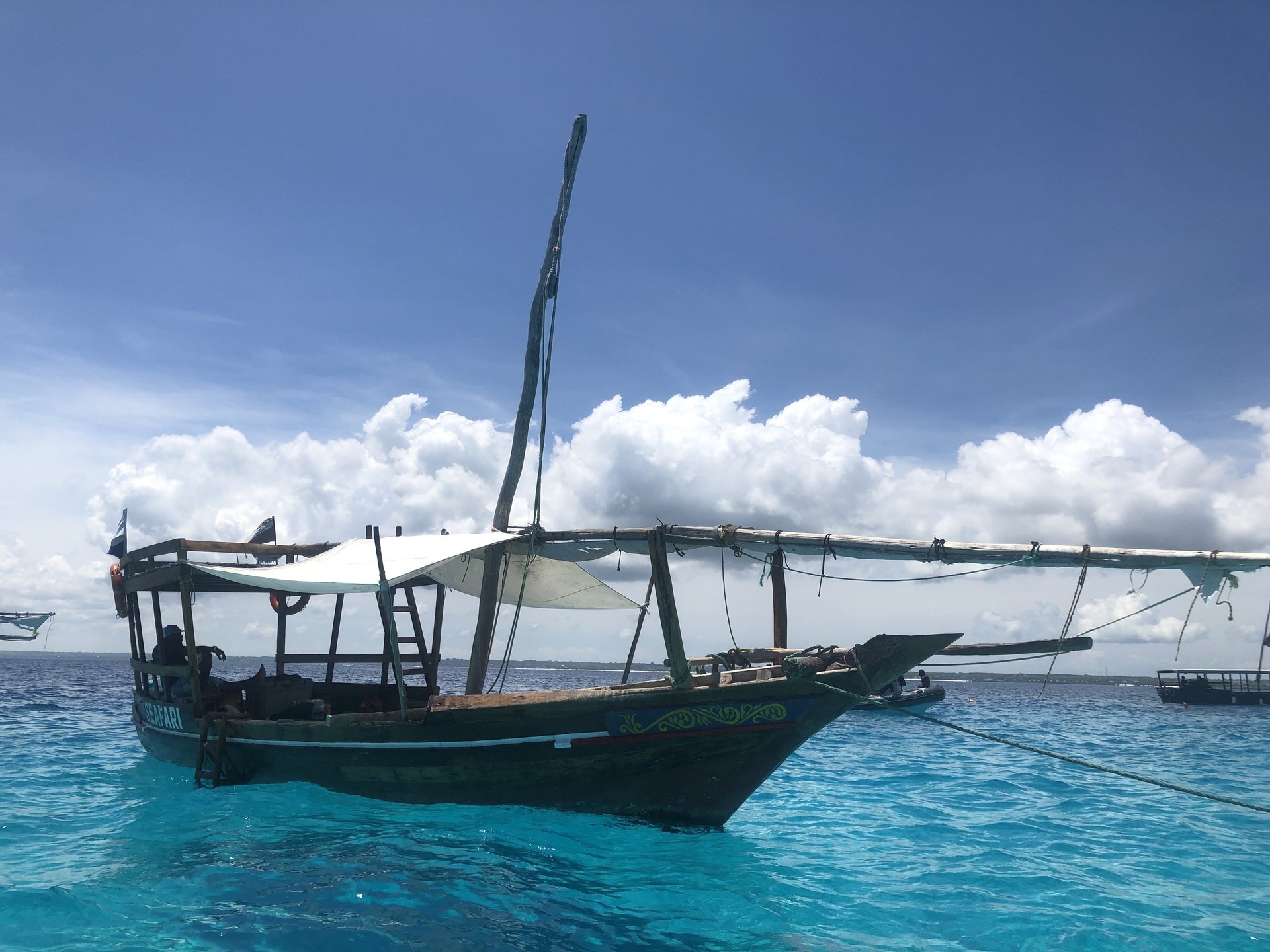 BluewavedivingZanzibar Zanzibar PADI Dive Center