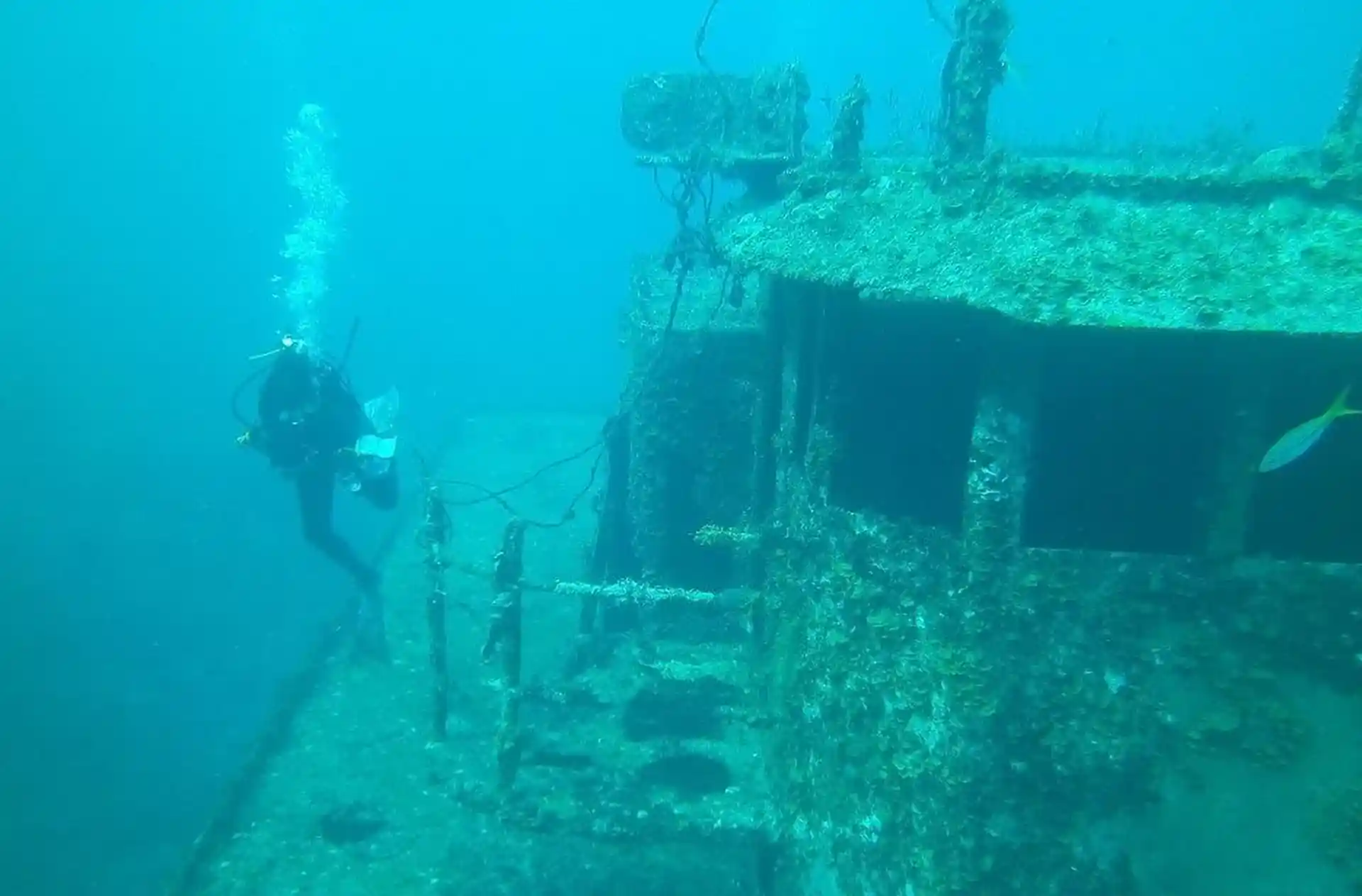 Dive shop photo