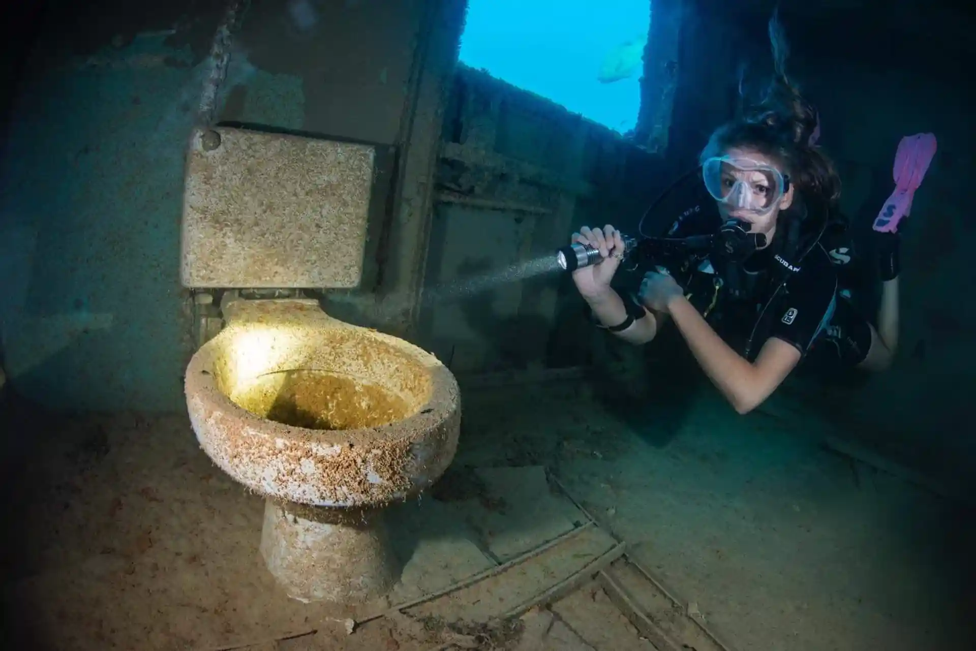 ダイビングサイトの写真