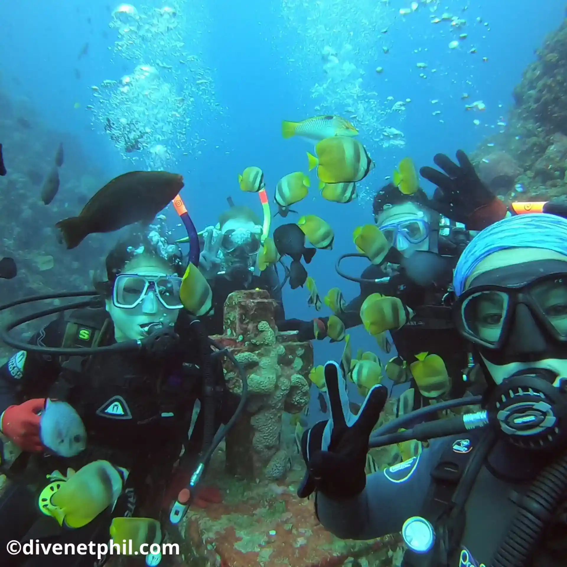 Start your adventure underwater!