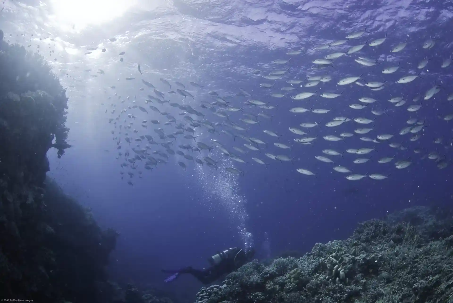 Dive site photo