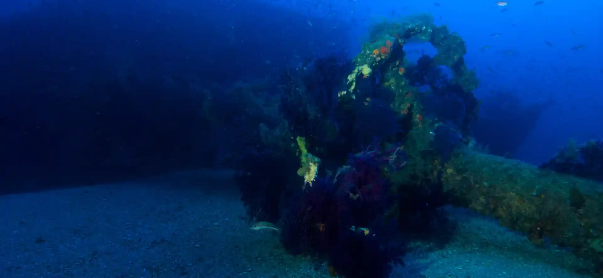 다이빙 포인트 사진