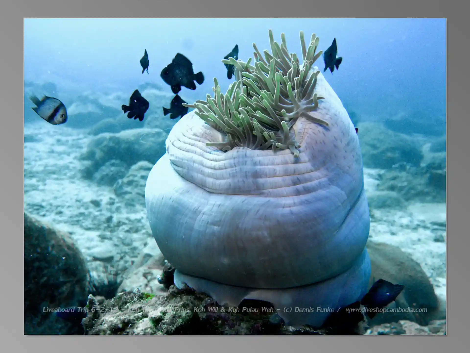 Foto van de duiklocatie