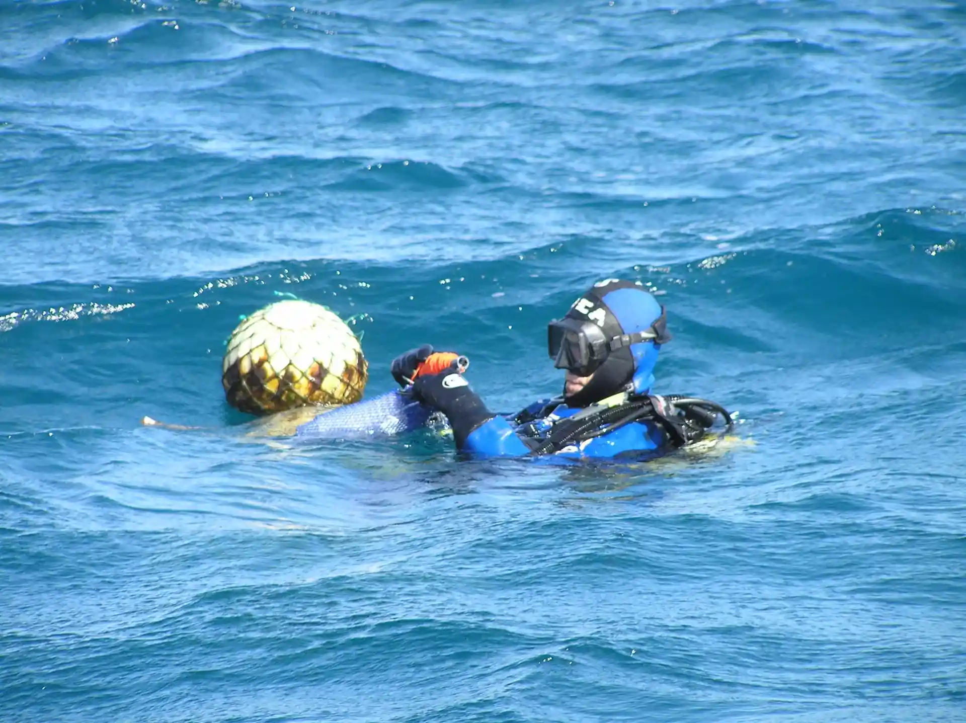 Dive shop photo